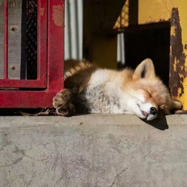 Sami的博客
